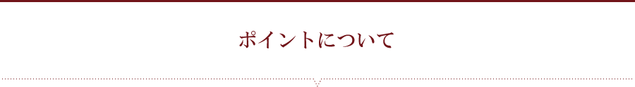 ポイントについて